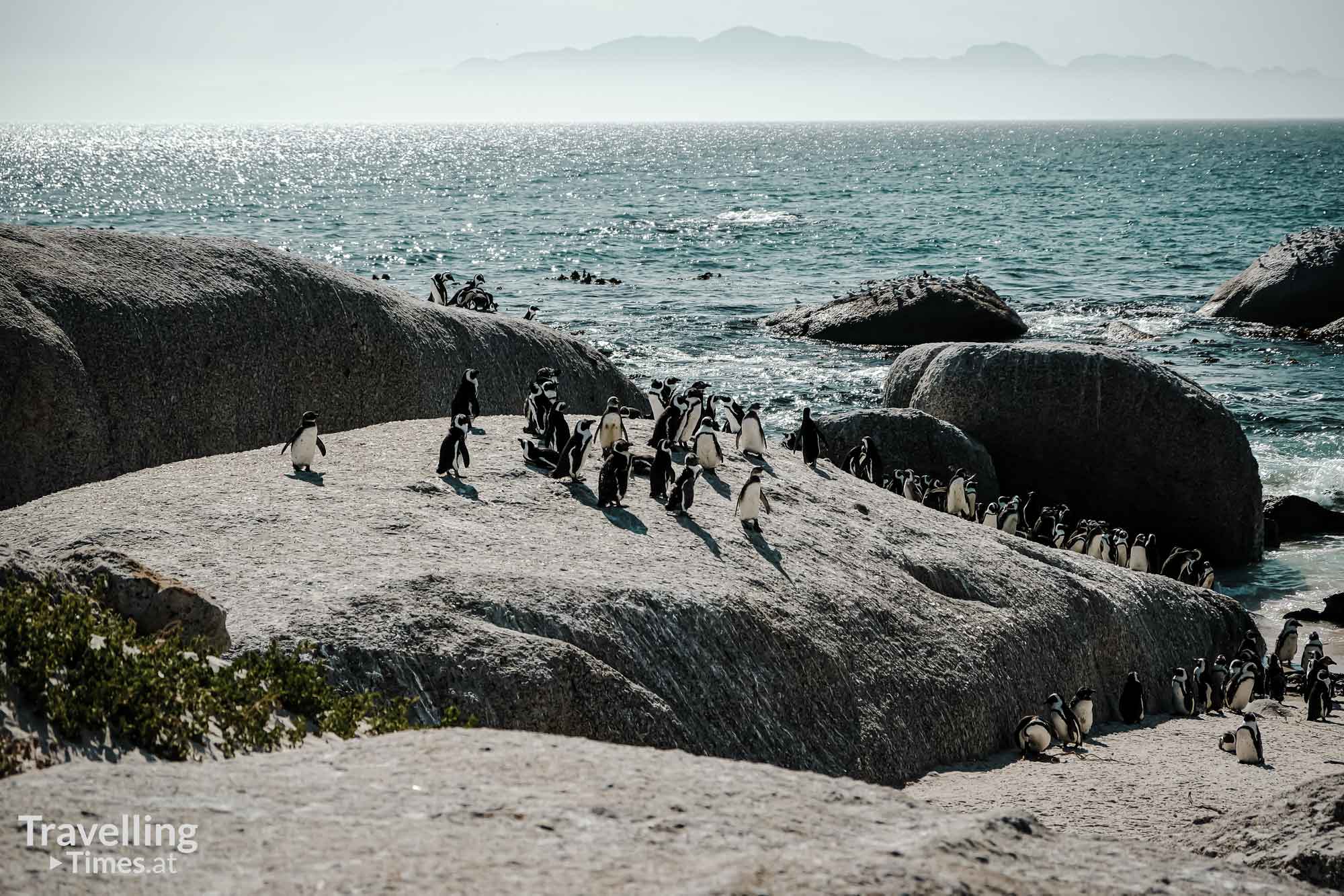 Boulders Beach