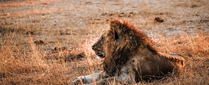 Kruger National Park