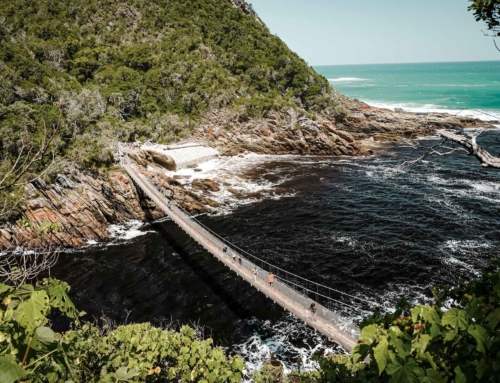 Die besten Stopps an der Garden Route